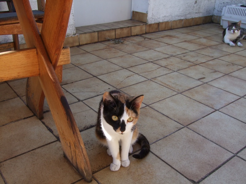 Ostern 2007 Orleshausen 034 